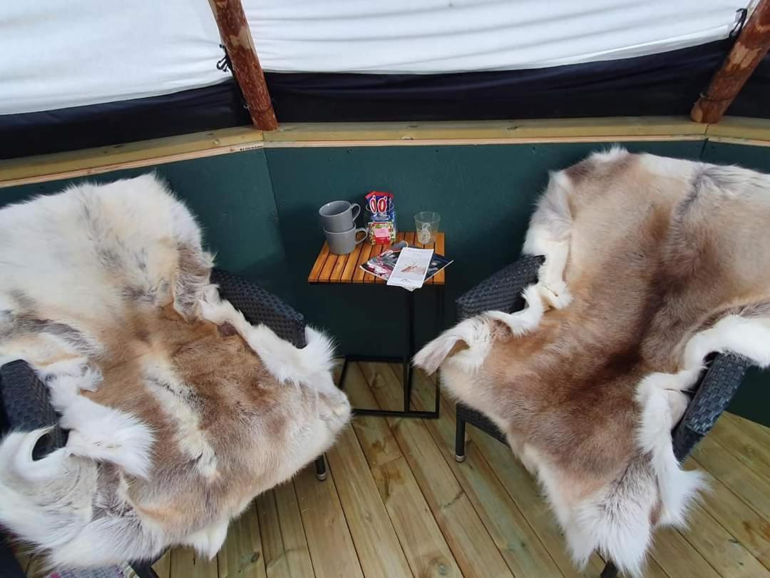 Reindeer Lodge Jukkasjärvi Extérieur photo