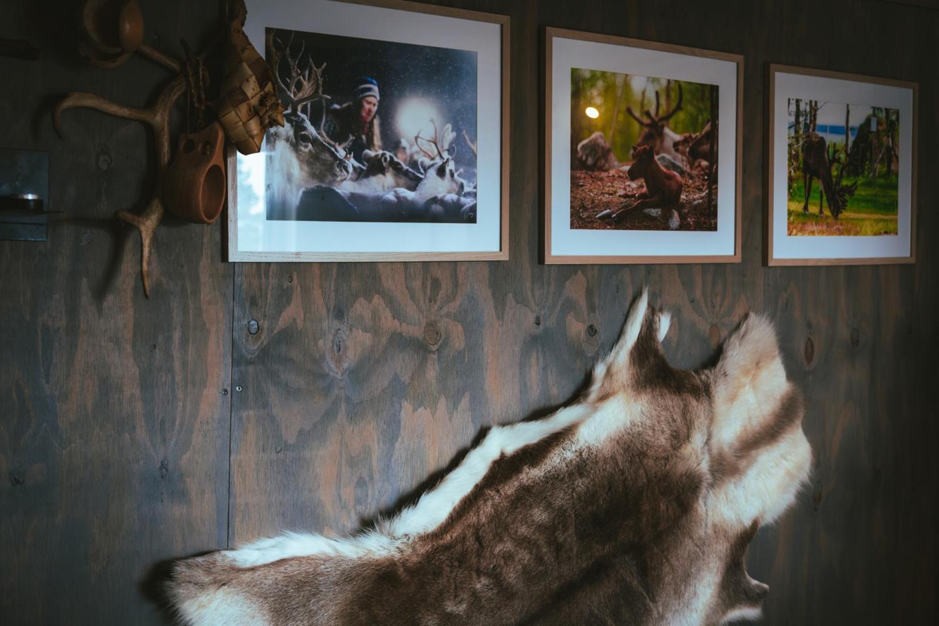 Reindeer Lodge Jukkasjärvi Extérieur photo